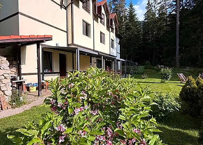 Berghof Eva - Hotel
