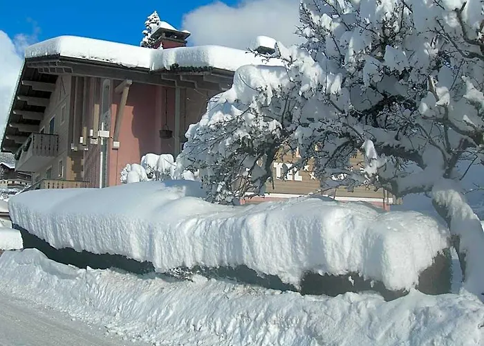 Le Cordonant