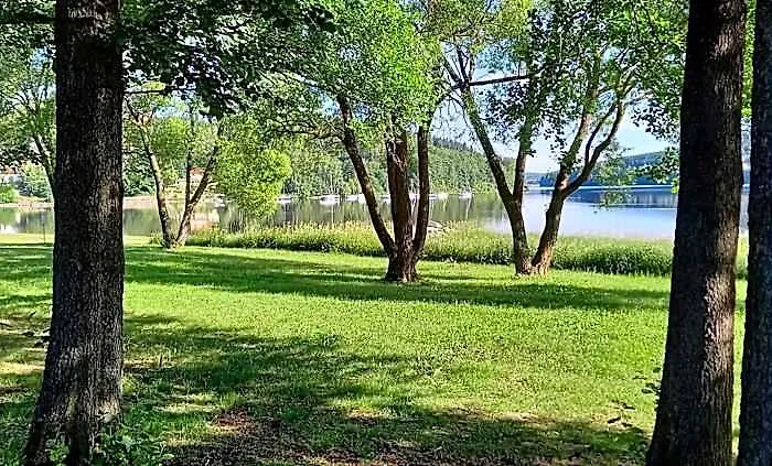 Plaz Vyton