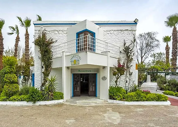 Club Muskebi