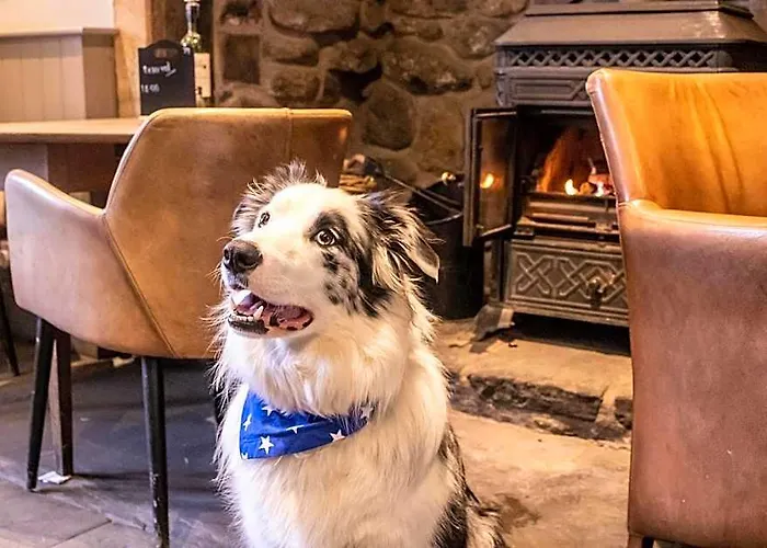 The Waddington Arms