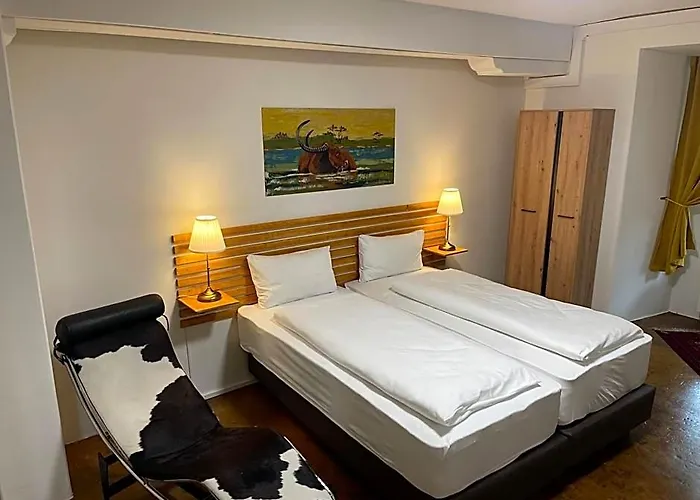 Hotel Swiss Bellevue Aathal