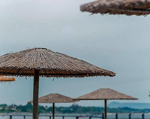Olive Grove Beachfront