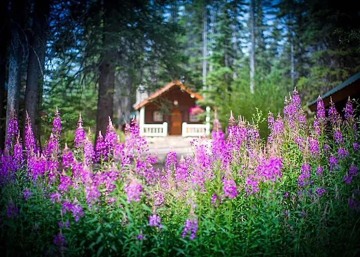 Storm Mountain Lodge & Cabins