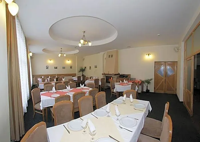 Hotel Paltinis