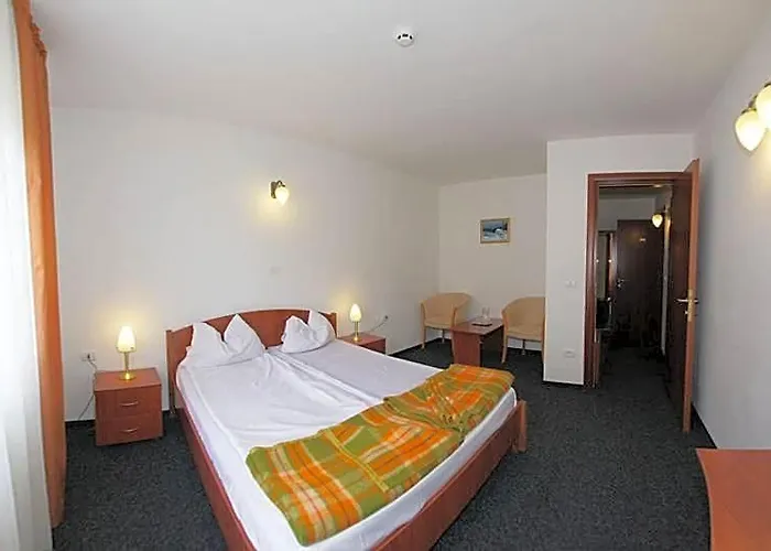 Hotel Paltinis