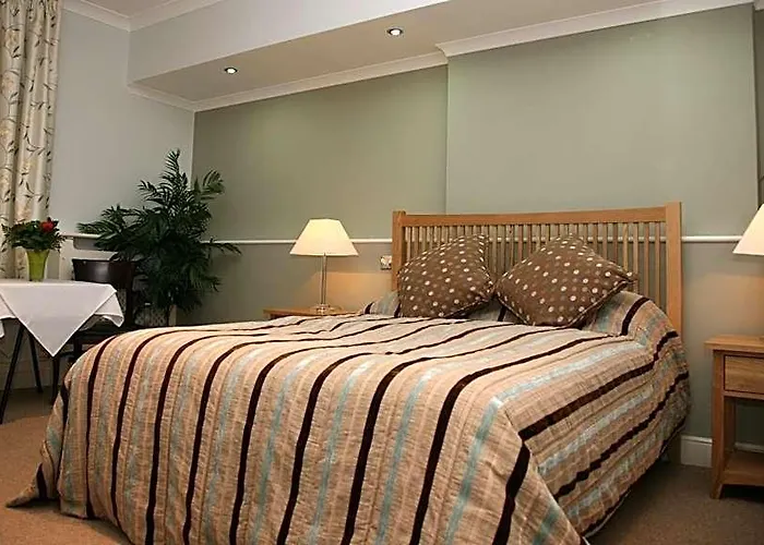 Tamasha Hotel