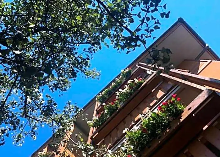 Hotel Moizi