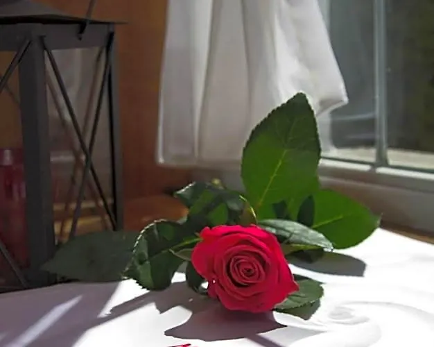 Hotel Albergo Mamma Rosa