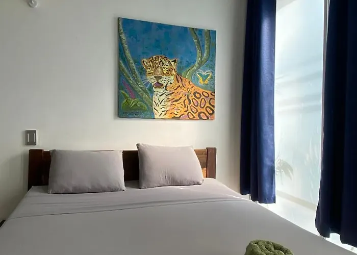 Amazonas Magic