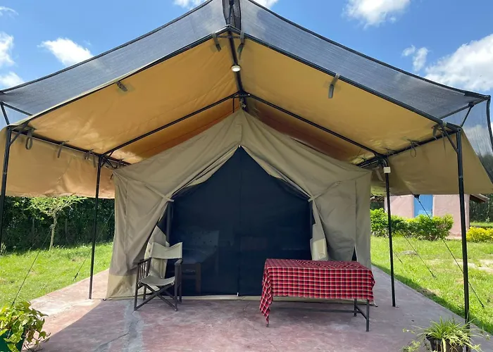 Treasure Camp