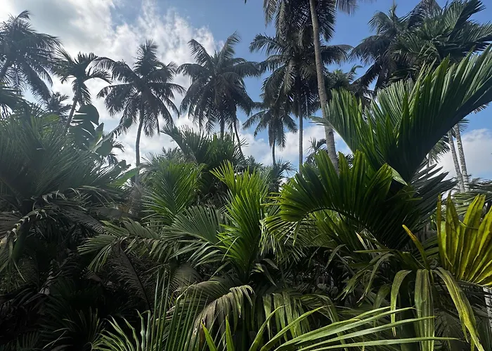 Seven Seas Beach Resort