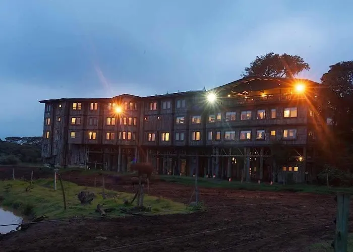 The Treetops Lodge