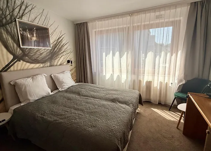 Hotel Albert 1Er