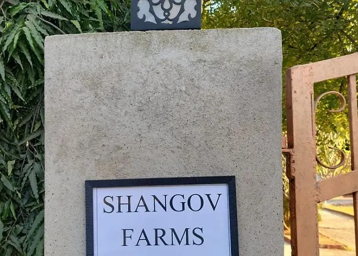 Shangov Farms, Aliabad