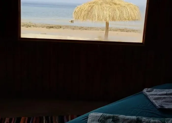 Viva La Vida Beach Camp