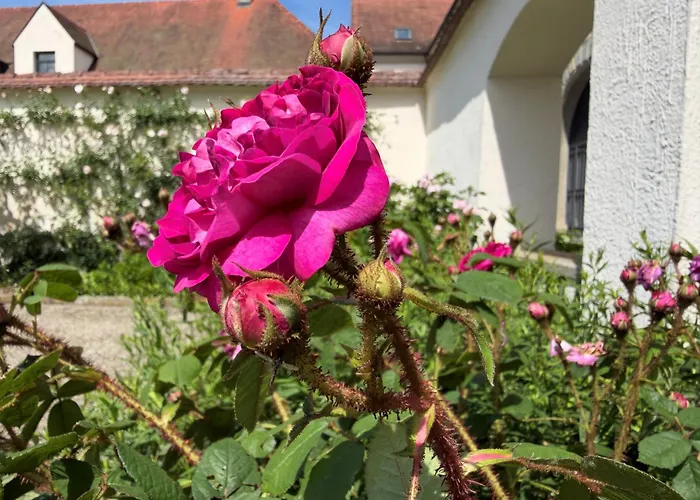 Bodensee-Schloss Maurach