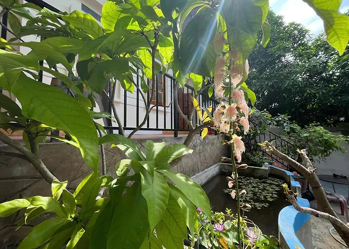 Vitasea Mui Ne Homestay & Pool
