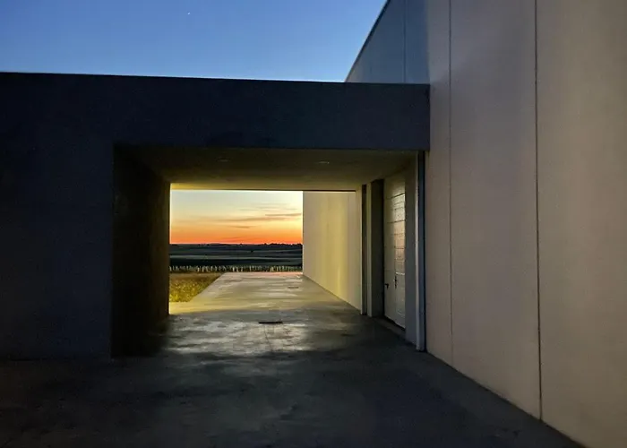 Bodega Díscolo