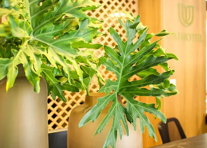 Uai Hotel Jaíba