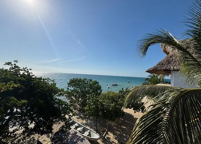 La Casa De La Tortuga