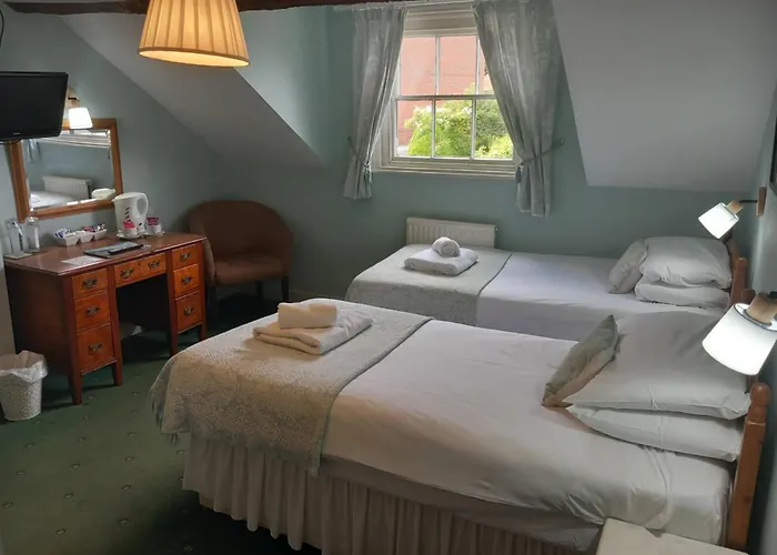The Dragon Hotel