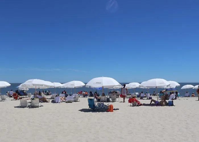 Montreal Beach Resort