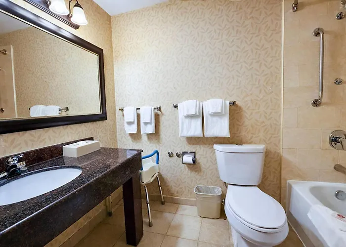 Comfort Inn & Suites Ambassador Bridge