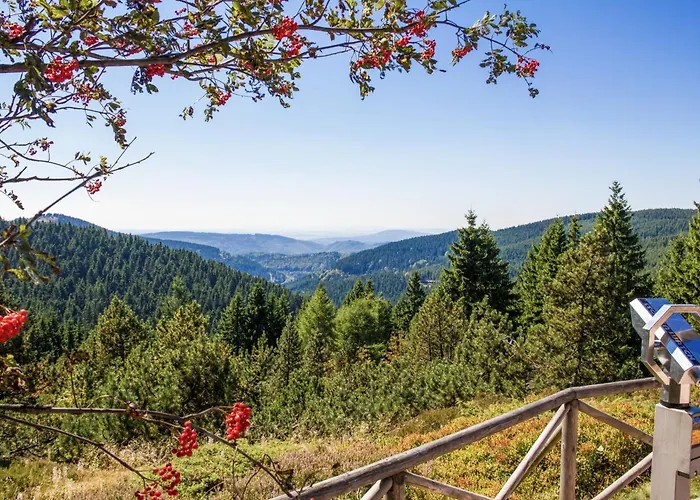 Pension Haus Saarland