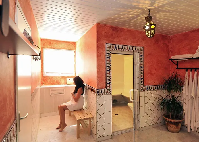 ibis Orange Sud
