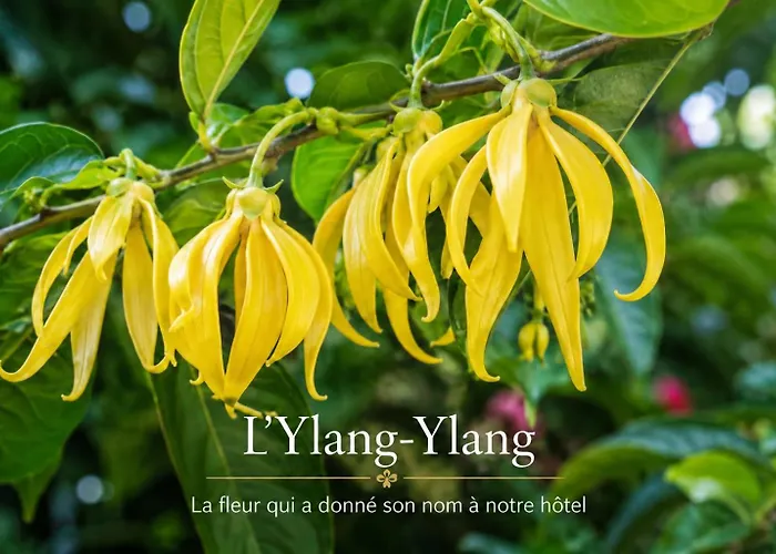 Hôtel Ylang-Ylang