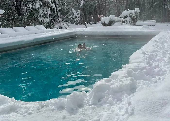 Termas Palguin Pucón