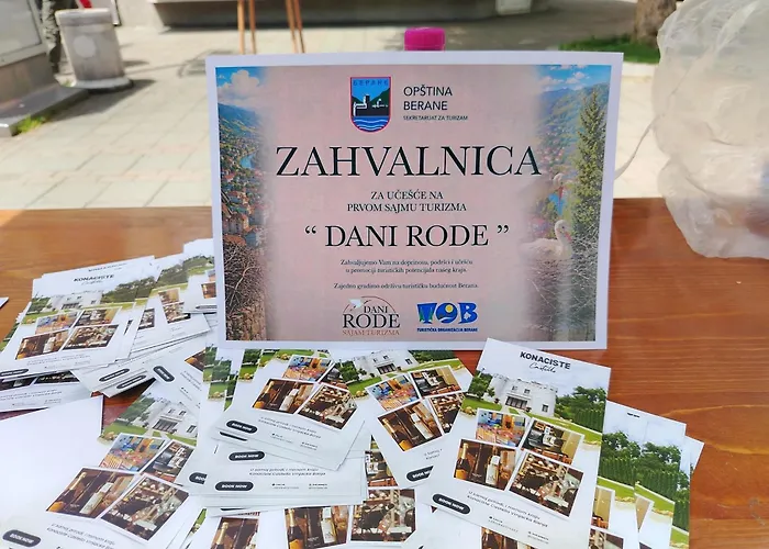Dvorac Castelo Db 2022