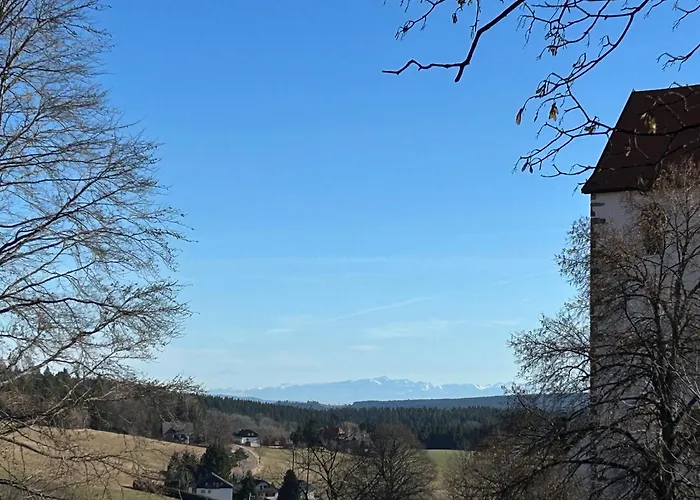 Tiny House Im Hotel Hochfirst Mit Hochschwarzwald Card
