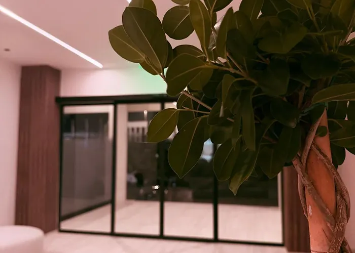 S S Sophie'S Suites
