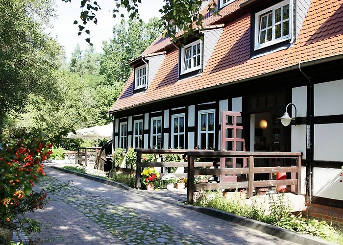 Springbach-Mühle Belzig