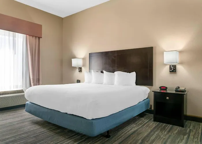Comfort Inn & Suites Toledo North