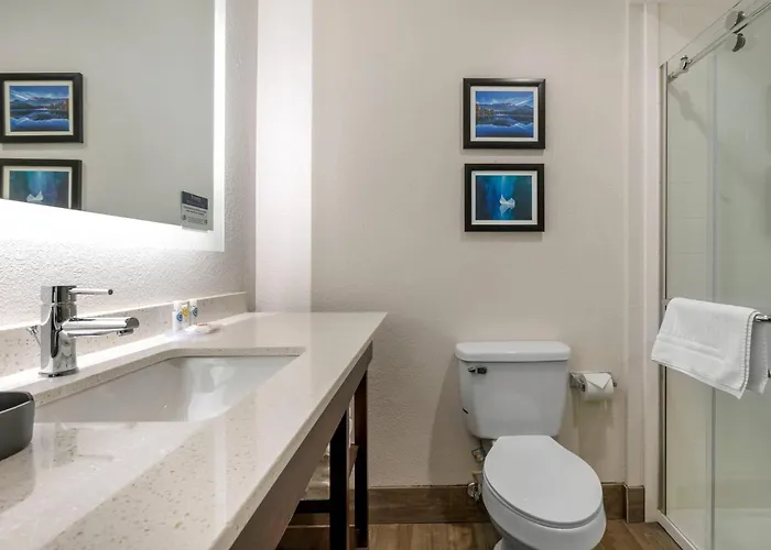 Comfort Inn & Suites Greer - Greenville