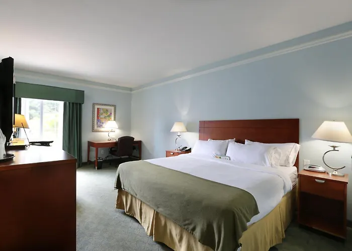 Holiday Inn Express Tampa North Telecom Park By Ihg