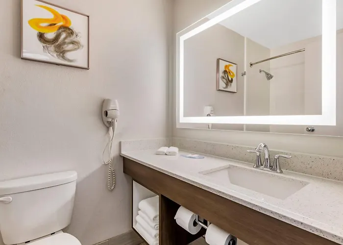 Comfort Inn & Suites Clemson - University Area