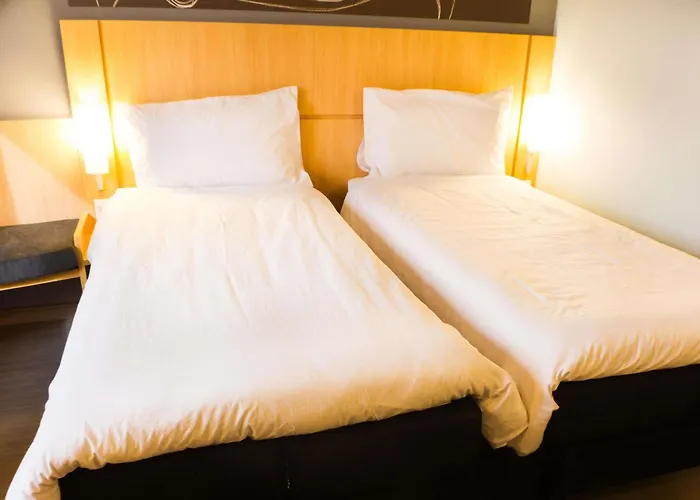 Ibis Imperatriz