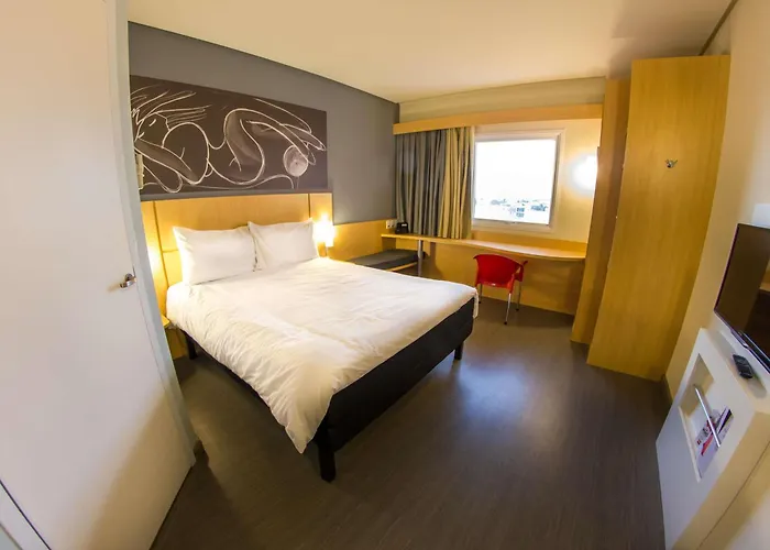 Ibis Imperatriz
