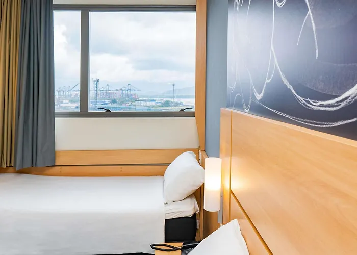 Ibis Santos Valongo