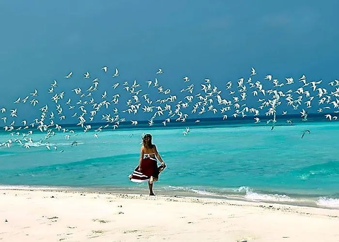 Old Town Inn Maldives