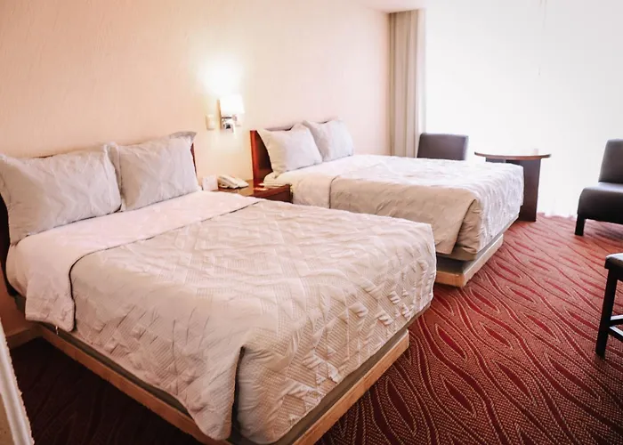 Hotel Real Plaza Aguascalientes