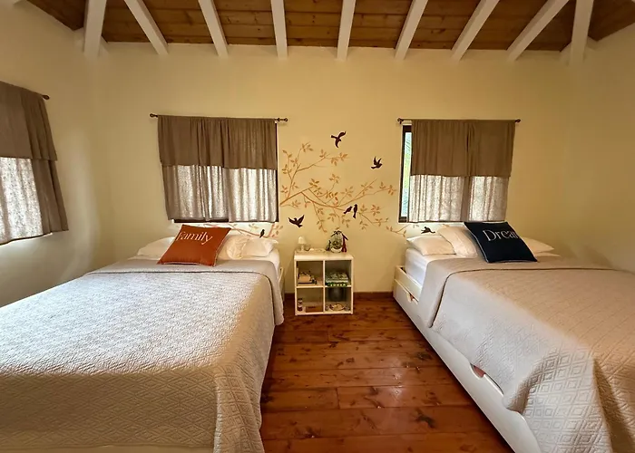La Casa De Pucha Surf History & Tropical Stay