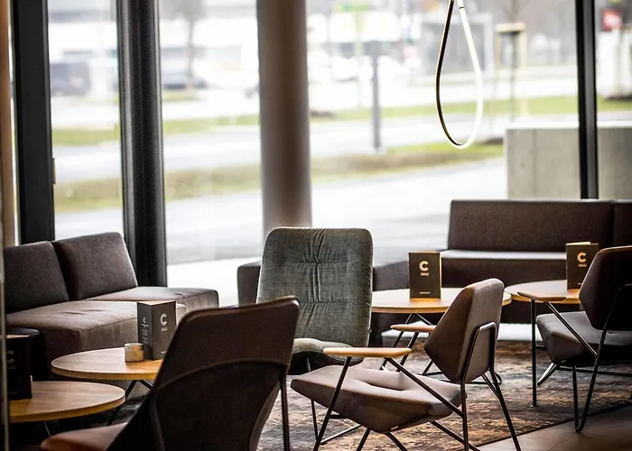 Ibis Wels
