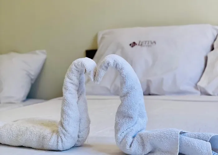Hotel Letiva Centro