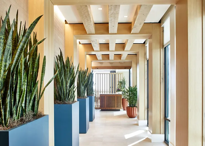 Springhill Suites By Marriott Jacksonville Beach Oceanfront