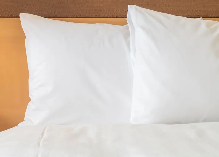 Avid Hotel Fort Worth Downtown By Ihg